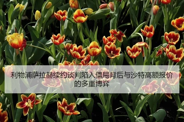 利物浦萨拉赫续约谈判陷入僵局背后与沙特高额报价的多重博弈（leyu）